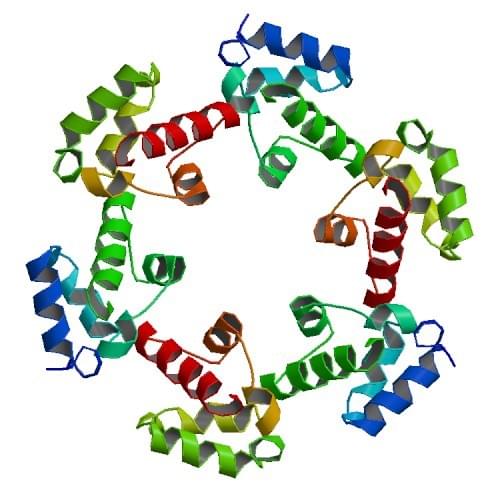 Figure: The structure of SAM domain of diacylglycerol kinase delta1.